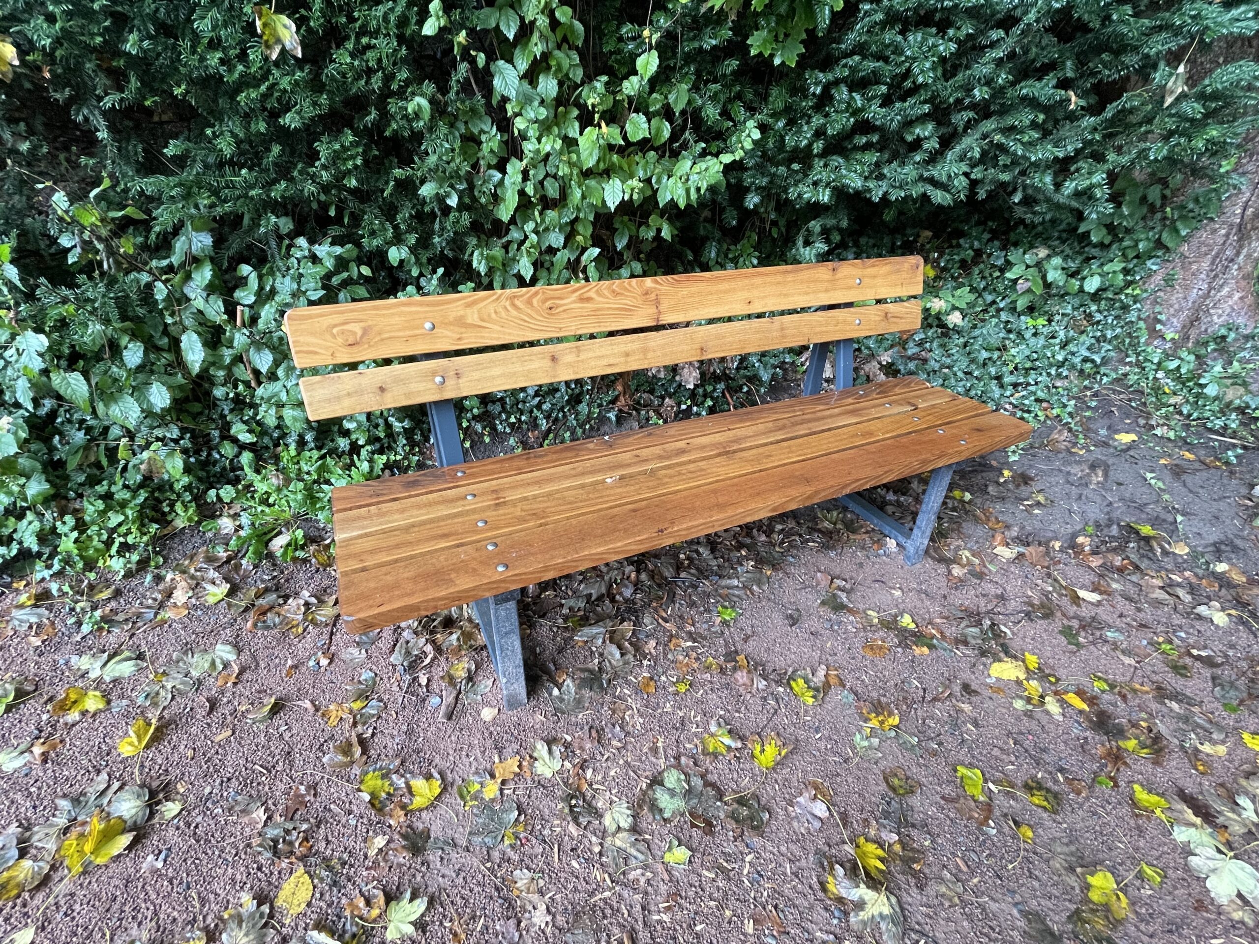 Bank ‚Haldensleben‘ 2 Bank ‚Haldensleben‘ – Bild 2